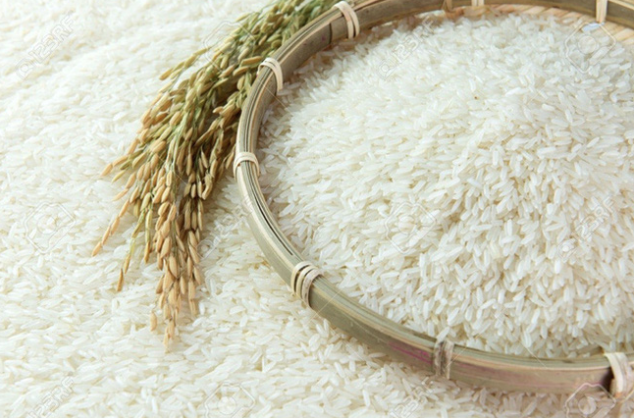 Xuất khẩu gạo giảm khối lượng, tăng chất lượng